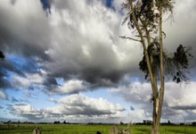 加的斯队进攻犀利卫冕冠军难以抵挡